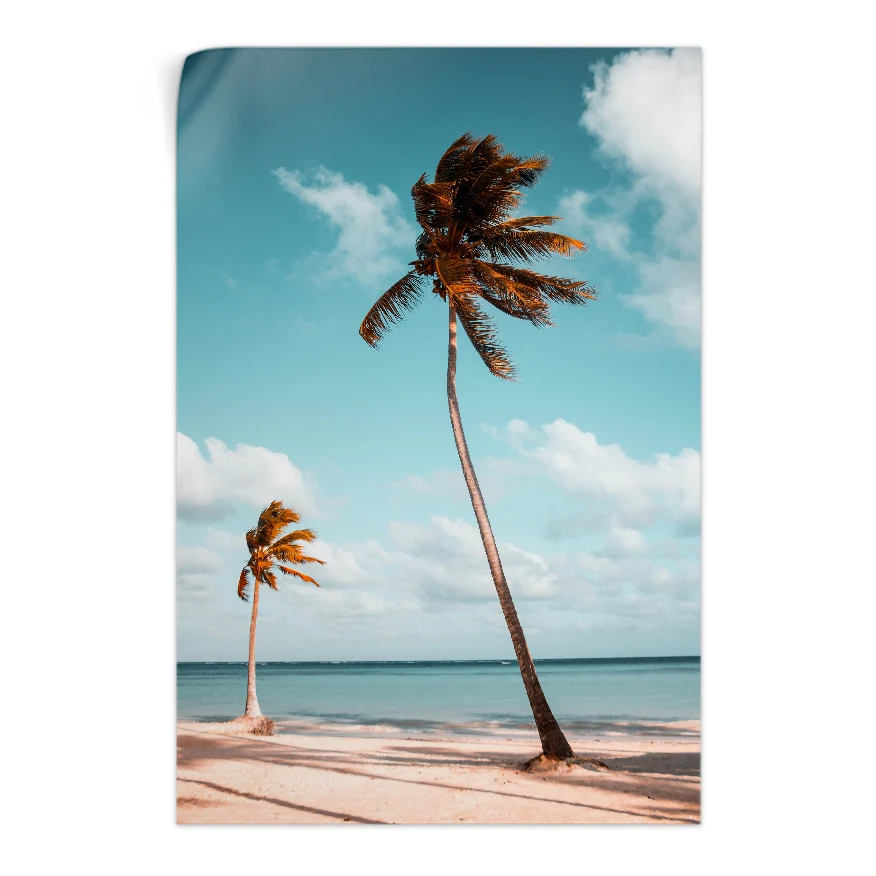 Palmeras Poster