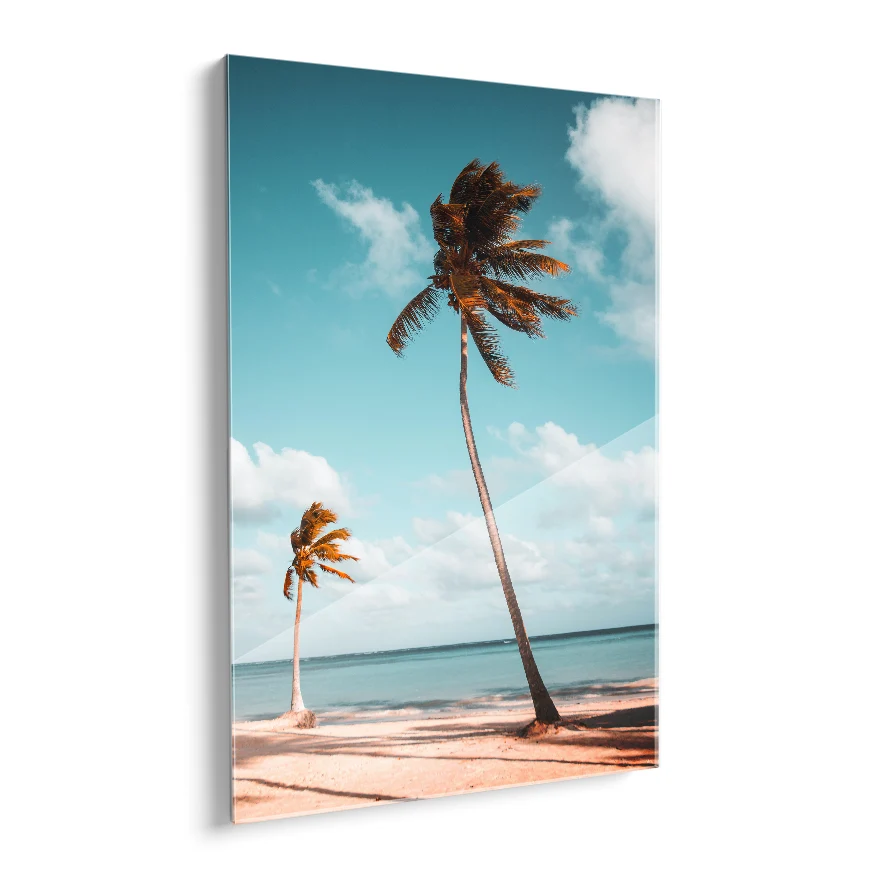 Palmeras Poster
