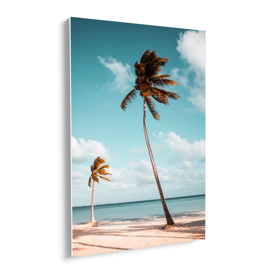 Palmeras Poster