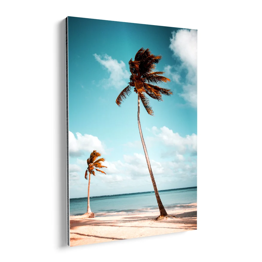 Palmeras Poster