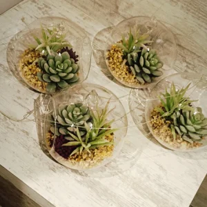 Pack de 4 suculentas decorativas Pame Ventas