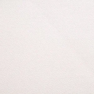 Papel Mural - Pin Point Soft Rose