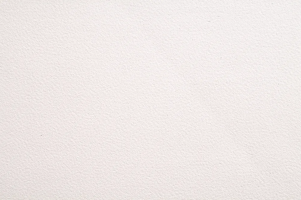 Papel Mural - Pin Point Soft Rose