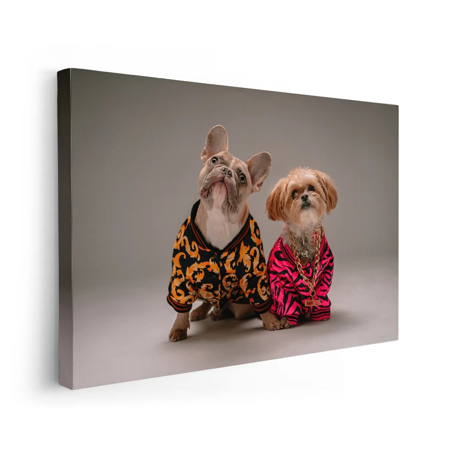 Perros con Camisa Poster