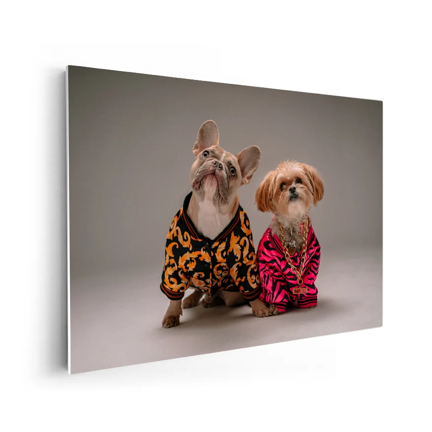 Perros con Camisa Poster