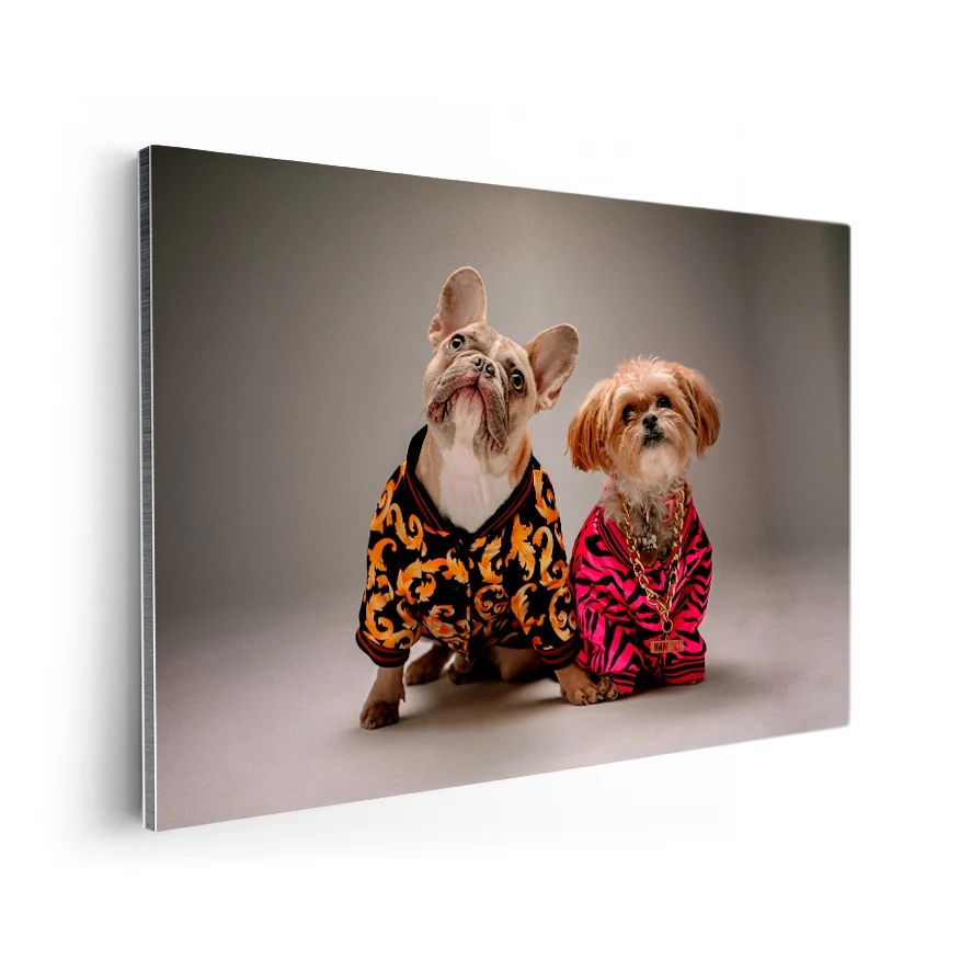 Perros con Camisa Poster