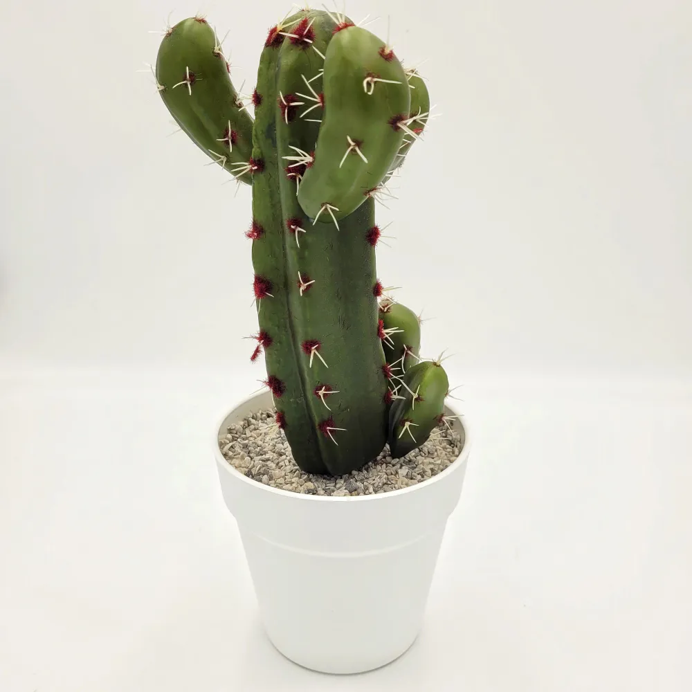 Cactus con maceta 31 cm Petra Decora