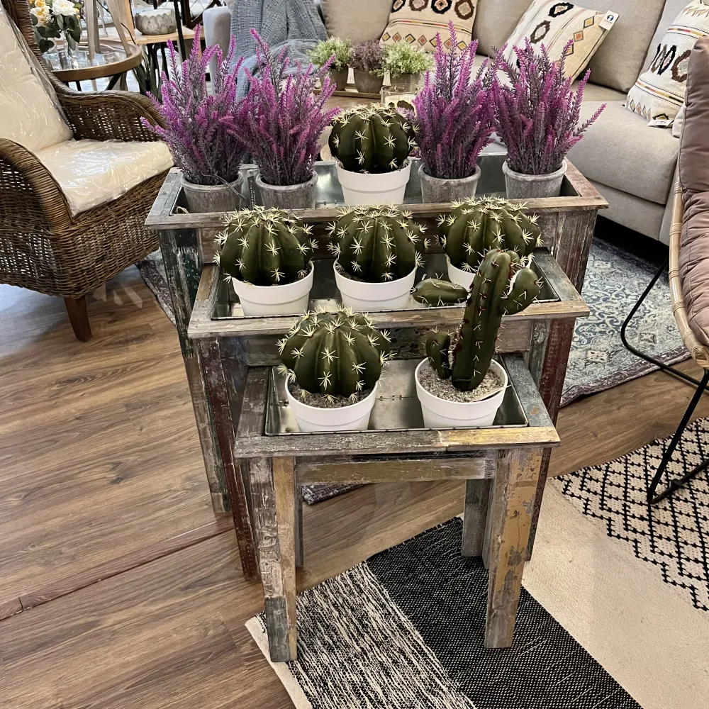 Cactus con maceta 31 cm Petra Decora