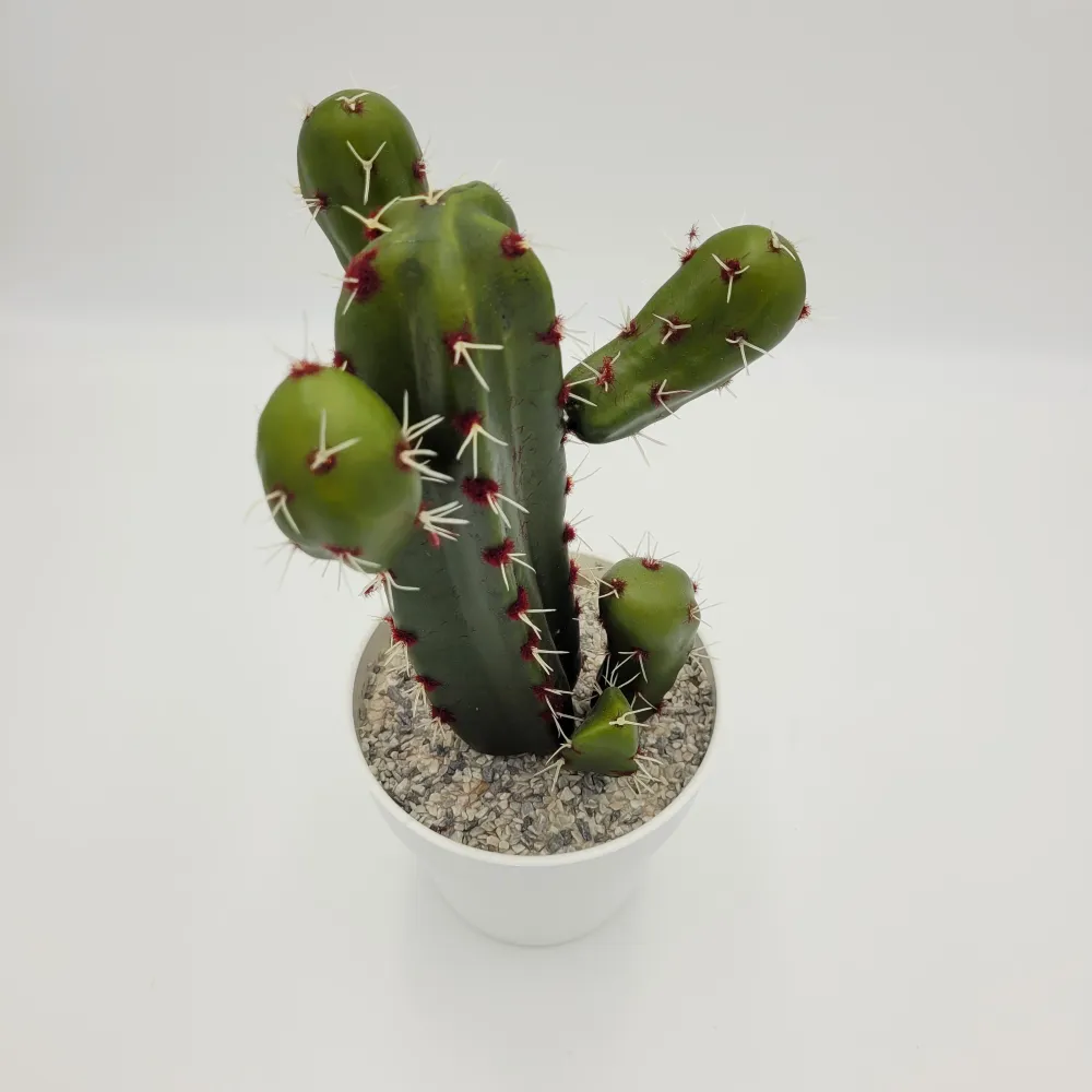 Cactus con maceta 31 cm Petra Decora