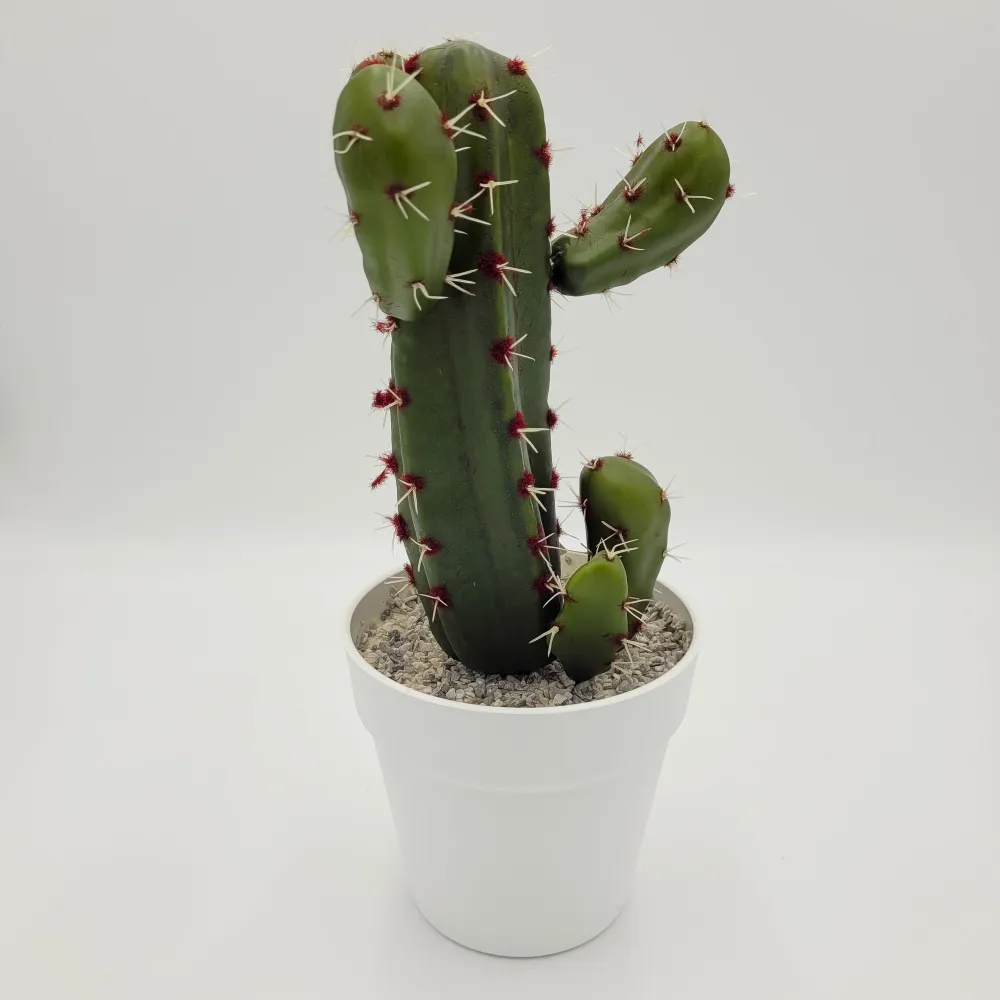 Cactus con maceta 31 cm Petra Decora