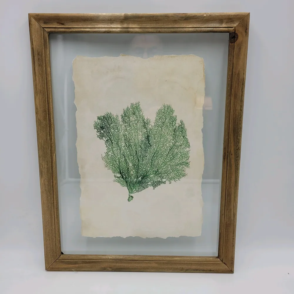 Cuadro madera algas verdes Petra Decora