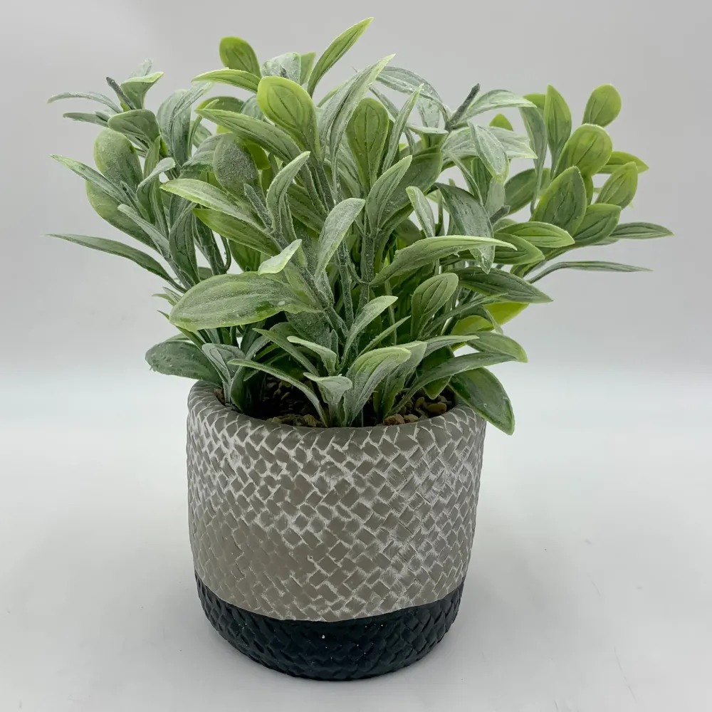Planta resina maceta negra Petra Decora
