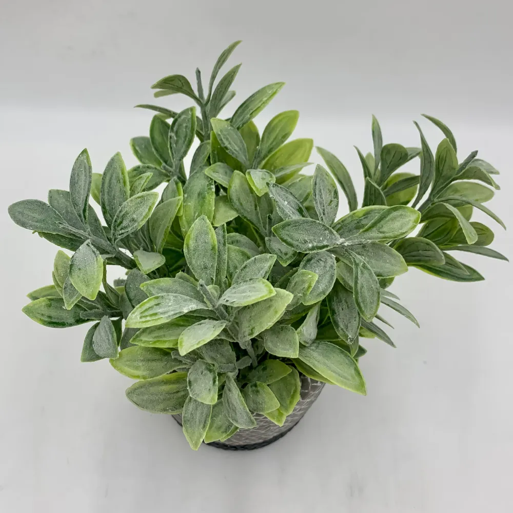 Planta resina maceta negra Petra Decora