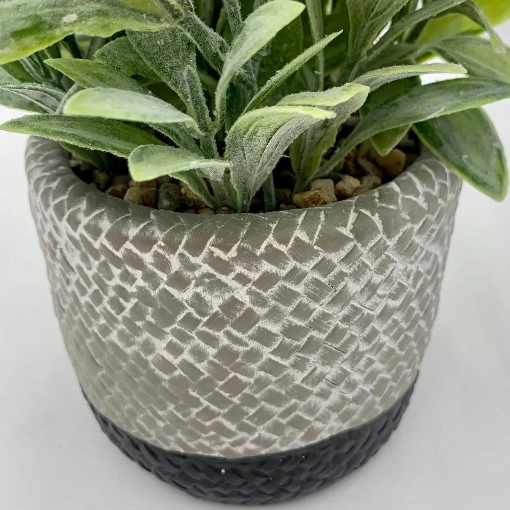 Planta resina maceta negra Petra Decora