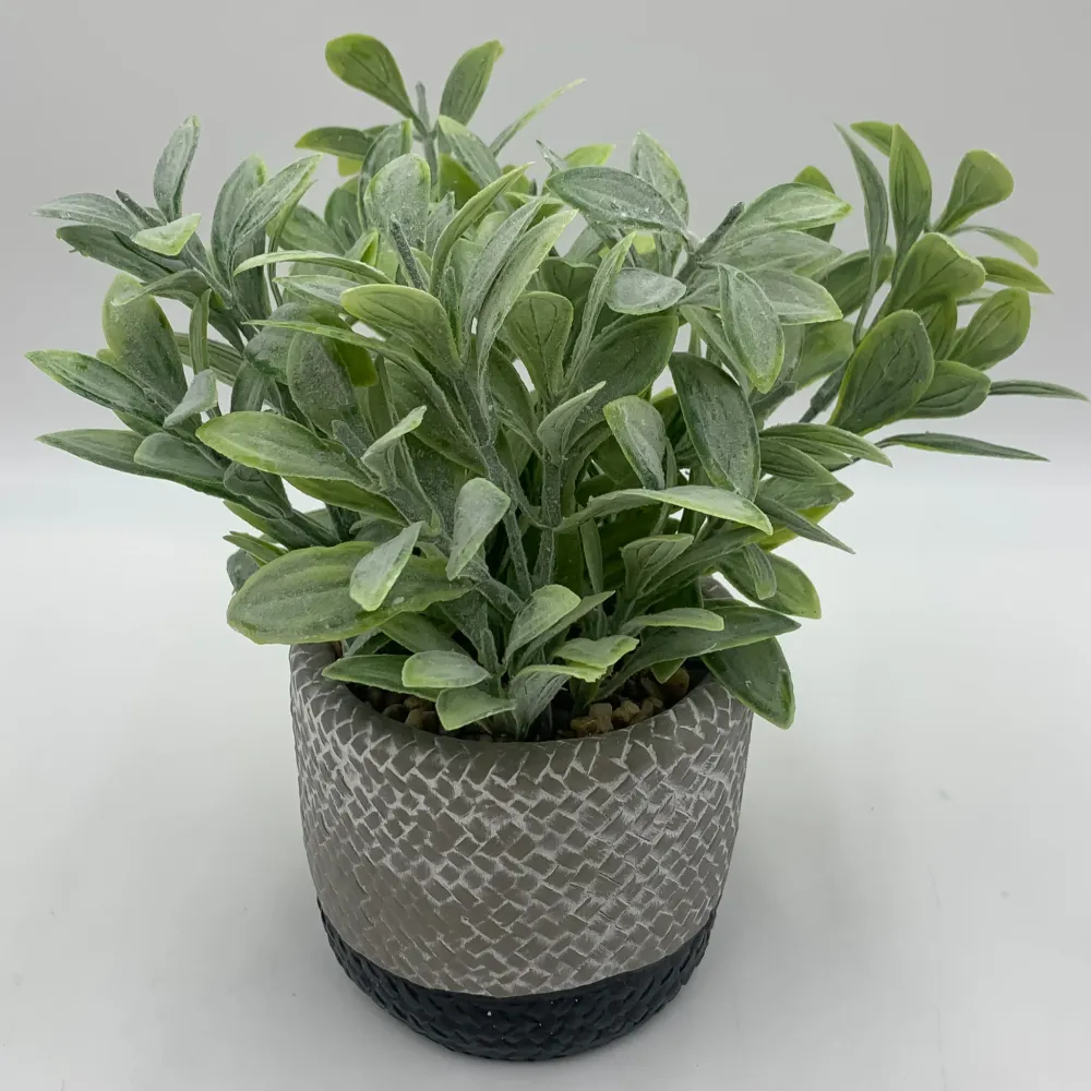 Planta resina maceta negra Petra Decora