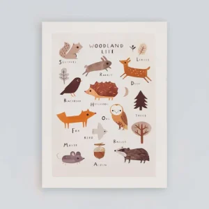 Poster animales del bosque