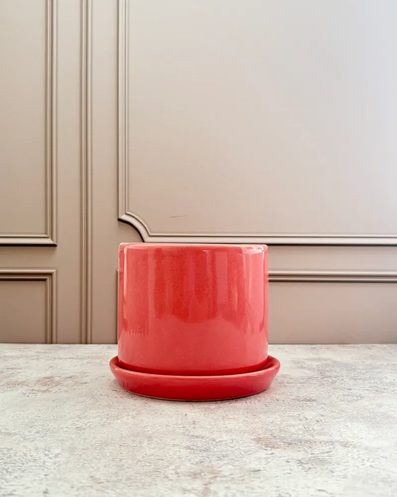 Maceta de cerámica rosa con plato Pot & Decor