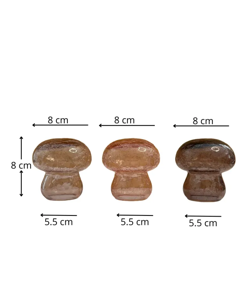 Set de 3 hongos decorativos de cristal Pot & Decor