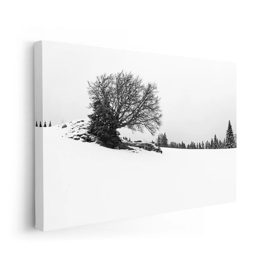 Árbol y con su Nieve Poster