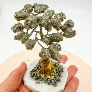 Árbol de pirita | Abundancia - Positividad