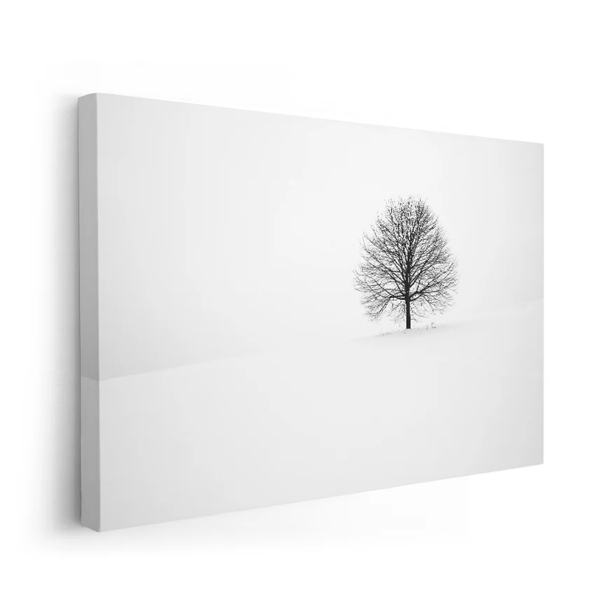 Árbol Solitario Nevado Poster