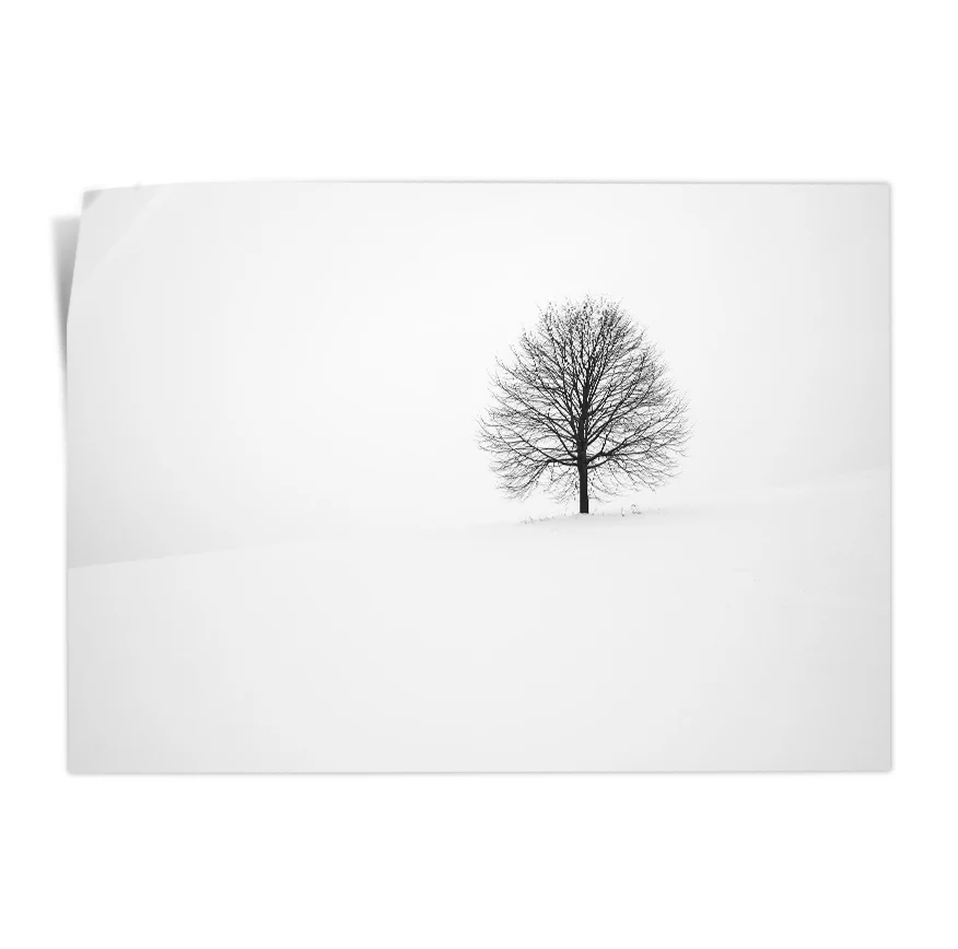 Árbol Solitario Nevado Poster