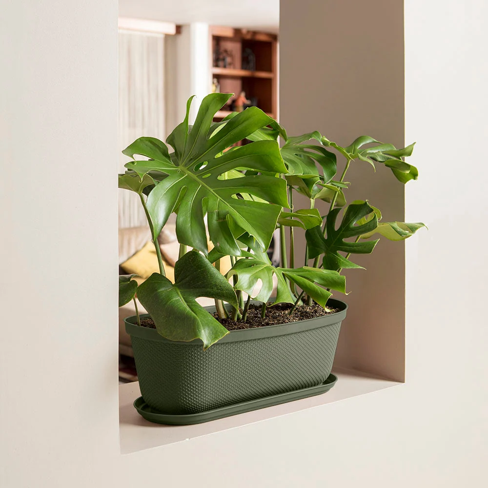 Matera moderna Ovalada Rafia 60 Cm con Plato Verde Musgo Rimax