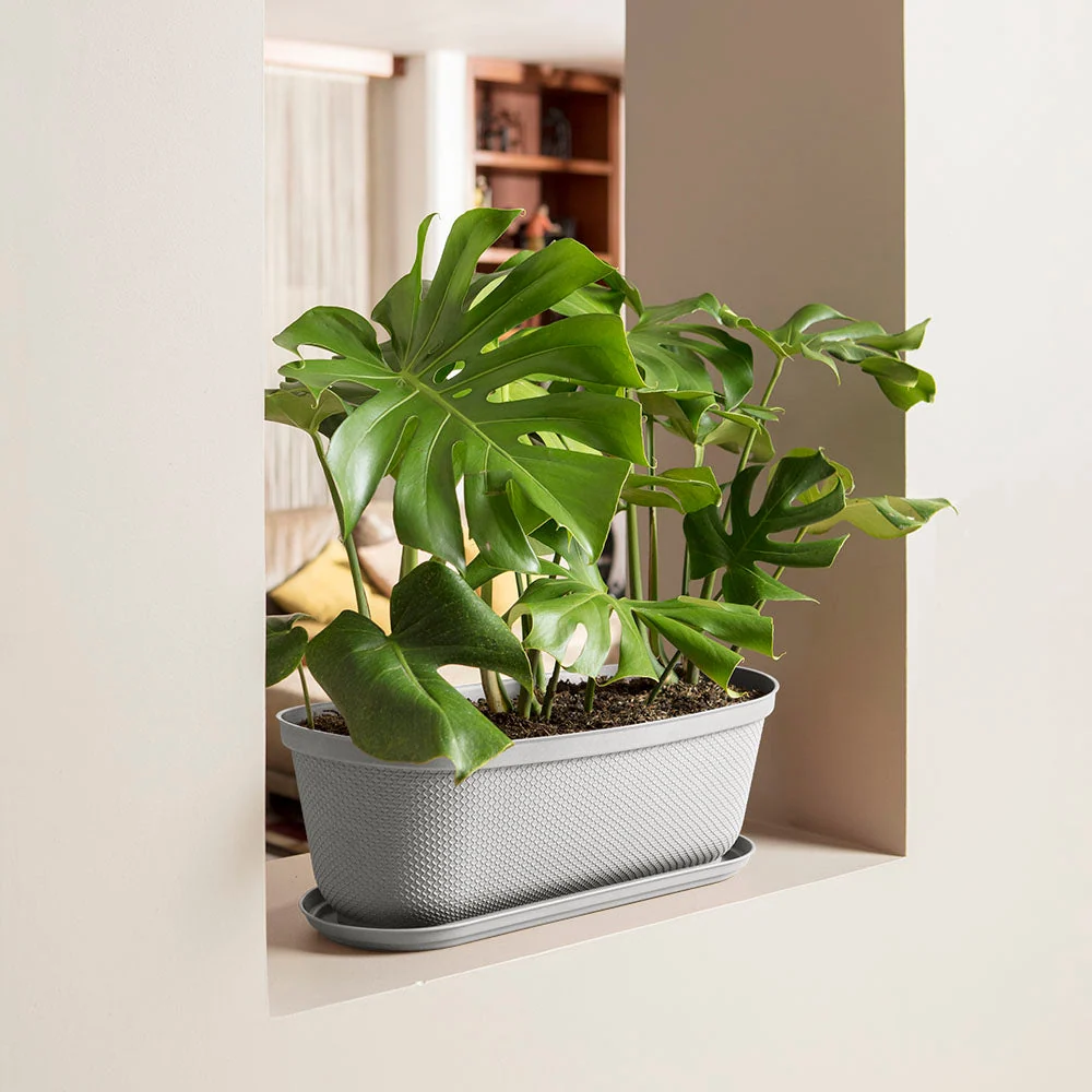 Matera moderna Ovalada Rafia 60 Cm con Plato Gris Hielo Rimax
