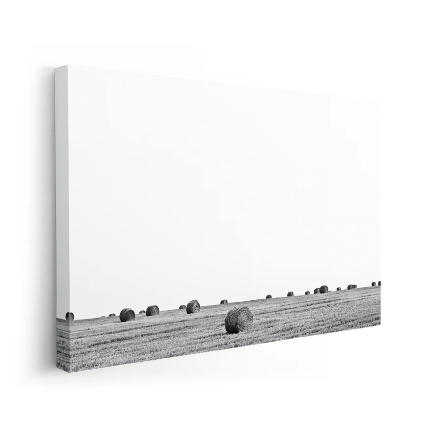Rollos de Heno Poster