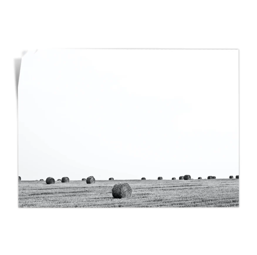 Rollos de Heno Poster