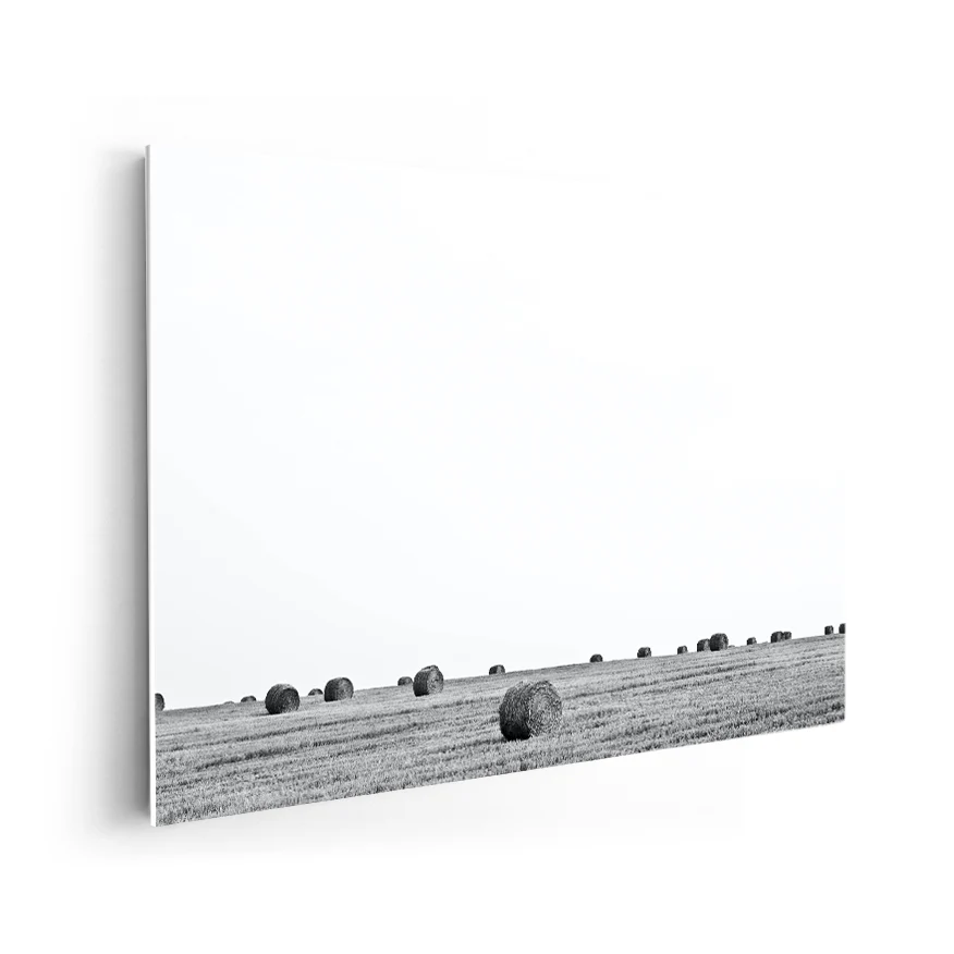 Rollos de Heno Poster