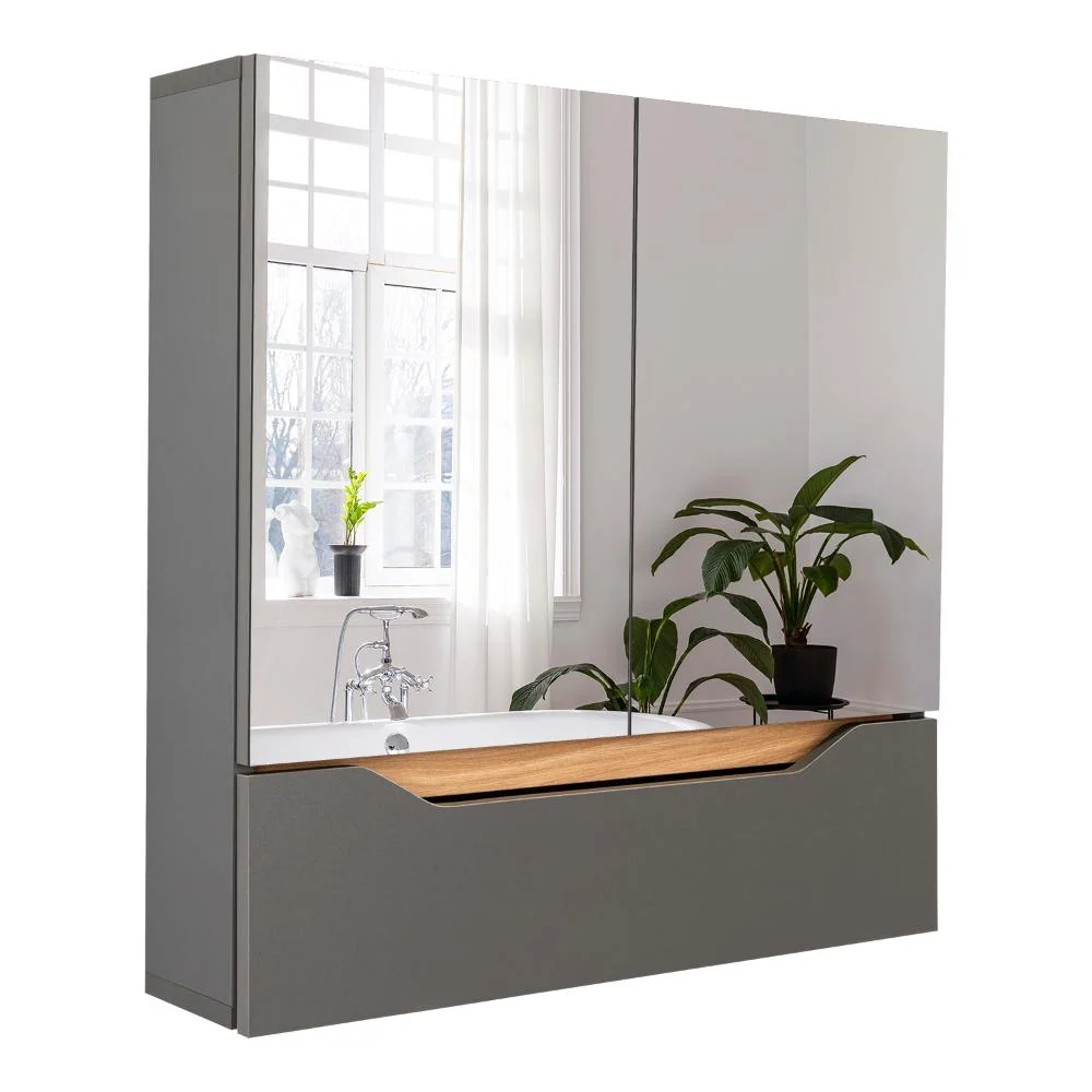 Gabinete de Baño Apolis, Plata Oscuro Y Fresno Europeo, con espejo RTA Design