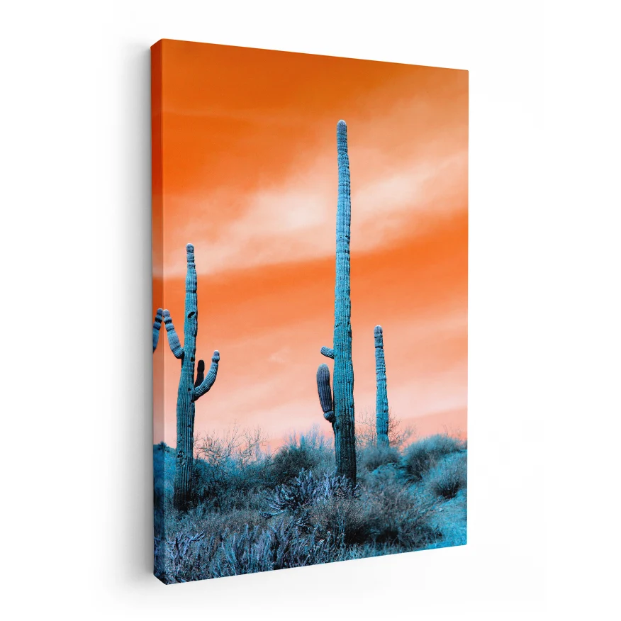 Saguaro al Atardecer Poster
