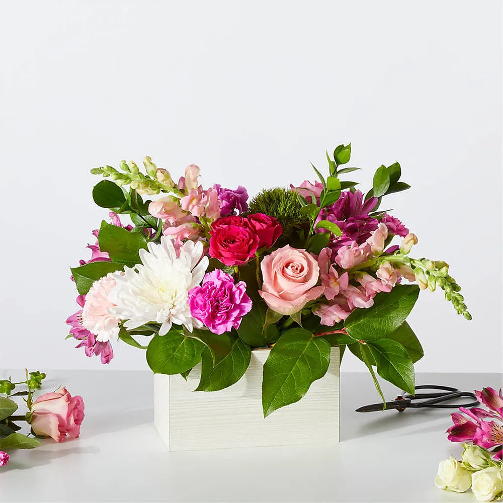 Caja de arándanos dulces: un producto original de floristerí Salon Diane Aubin Fleuriste Inc