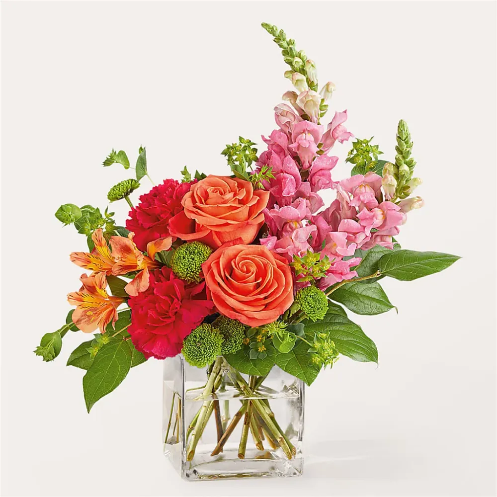 Ramo Cosmopolita Salon Diane Aubin Fleuriste Inc