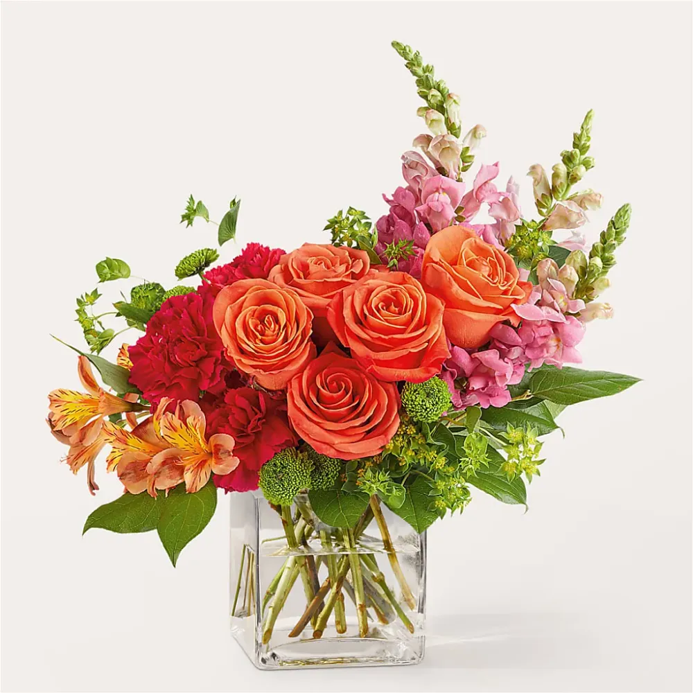 Ramo Cosmopolita Salon Diane Aubin Fleuriste Inc