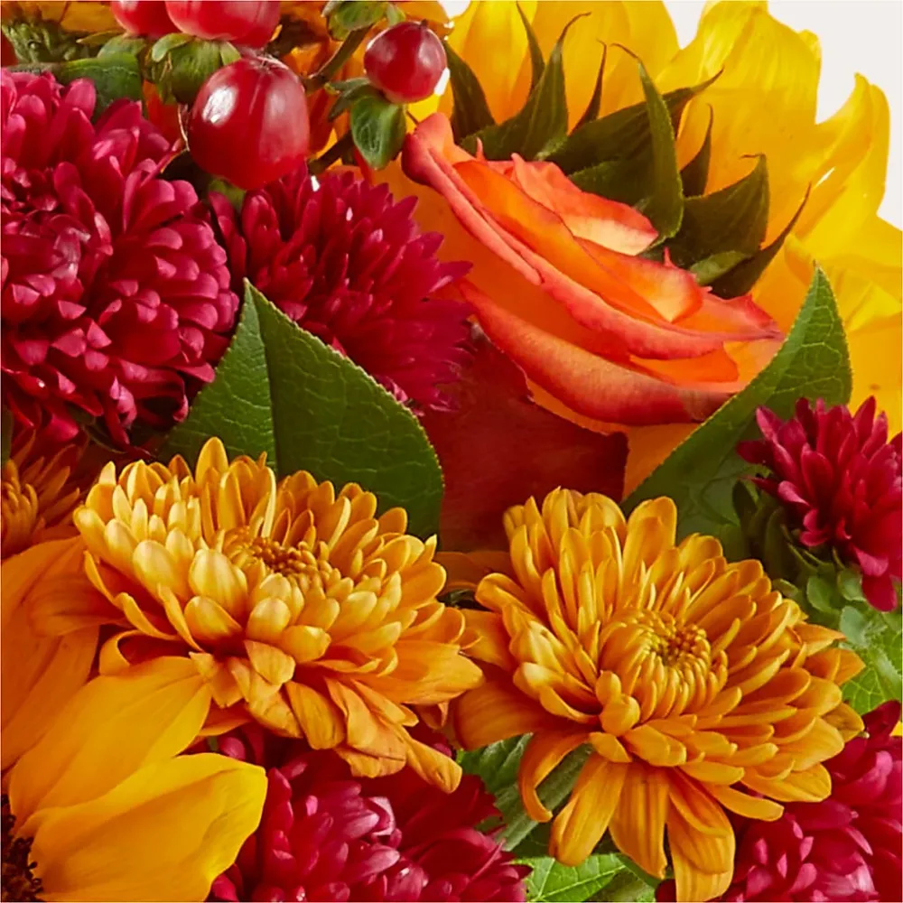 Temporada de suéteres: un original de floristerí Salon Diane Aubin Fleuriste Inc