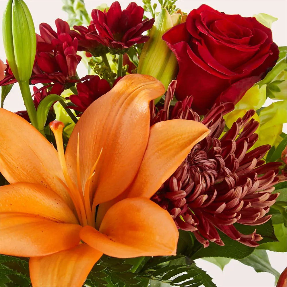 Temporada de suéteres: un original de floristerí Salon Diane Aubin Fleuriste Inc