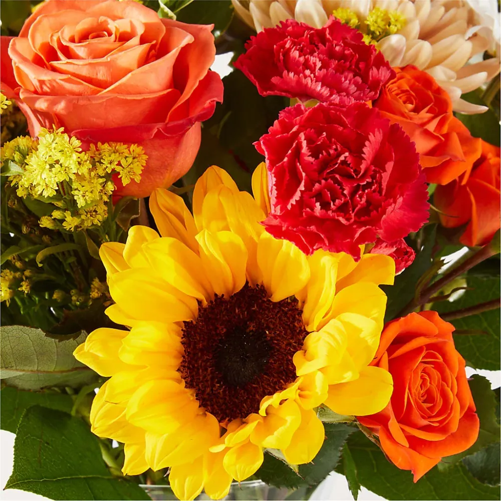 Temporada de suéteres: un original de floristerí Salon Diane Aubin Fleuriste Inc