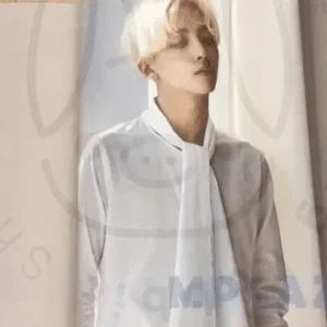 Seventeen - Al1 [ Jeonghan ] poster