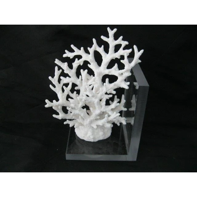 ADORNO DE CORAL SOHO HOME DECO