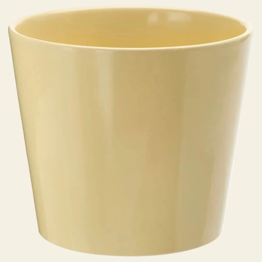 SOJABONA MACETA 15CM AMARILLO CLARO