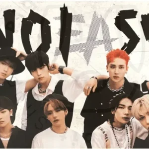 Stray kids - Noeasy [ d ] poster