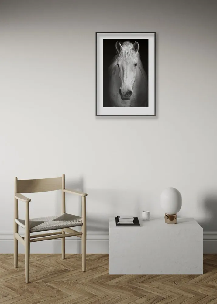 CABALLO BLANCO studiomalek