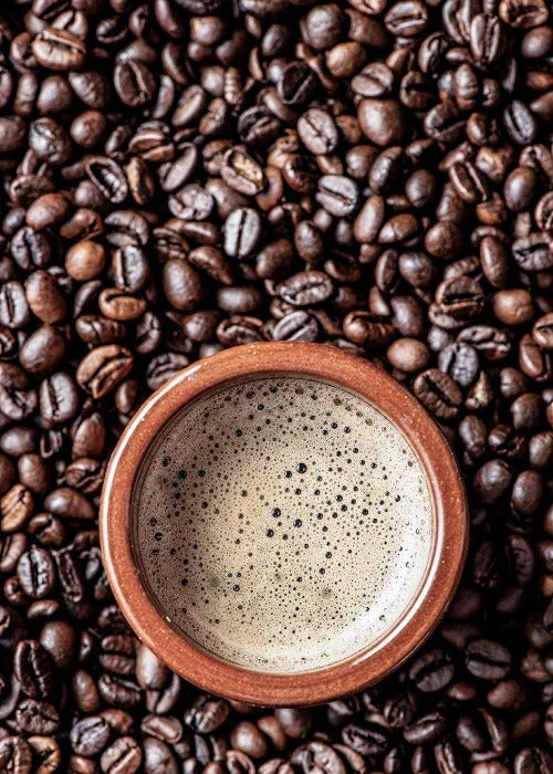 CAFE studiomalek