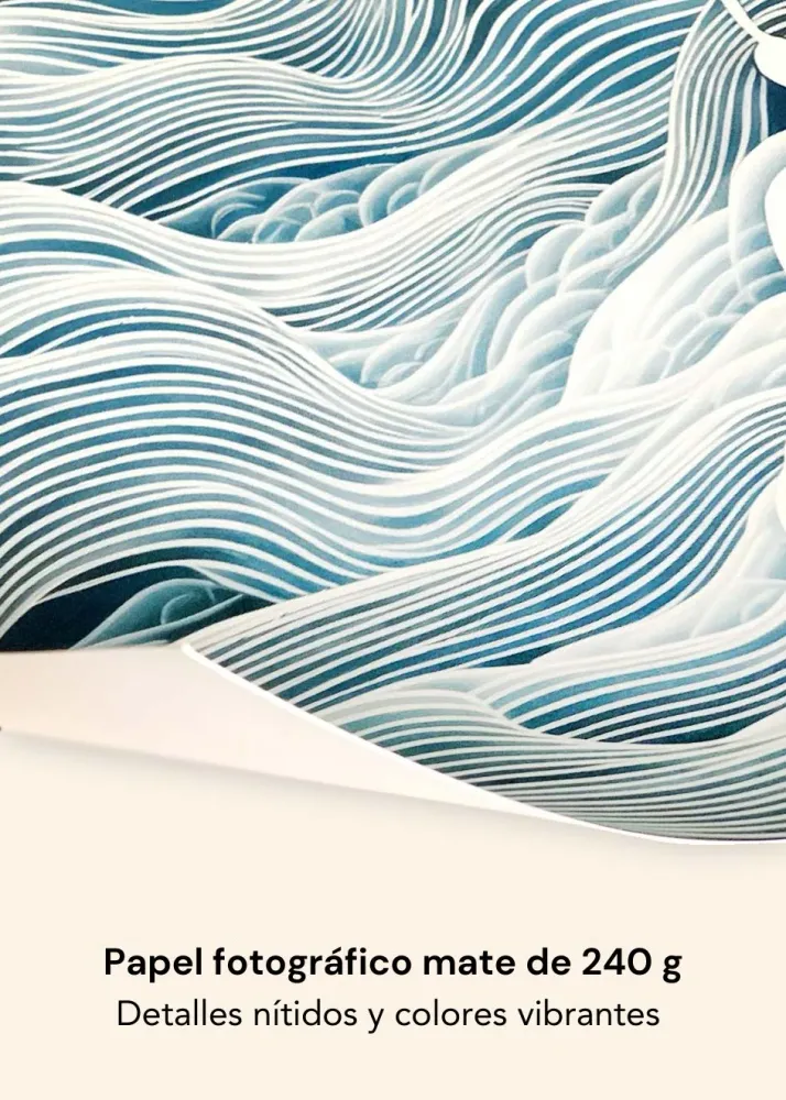 CALIFORNIA studiomalek
