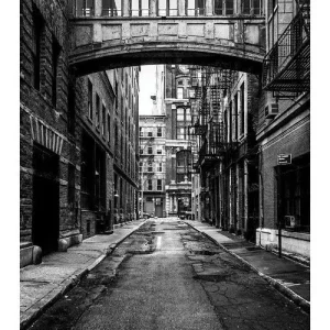 CALLEJON studiomalek