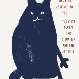 CAT studiomalek