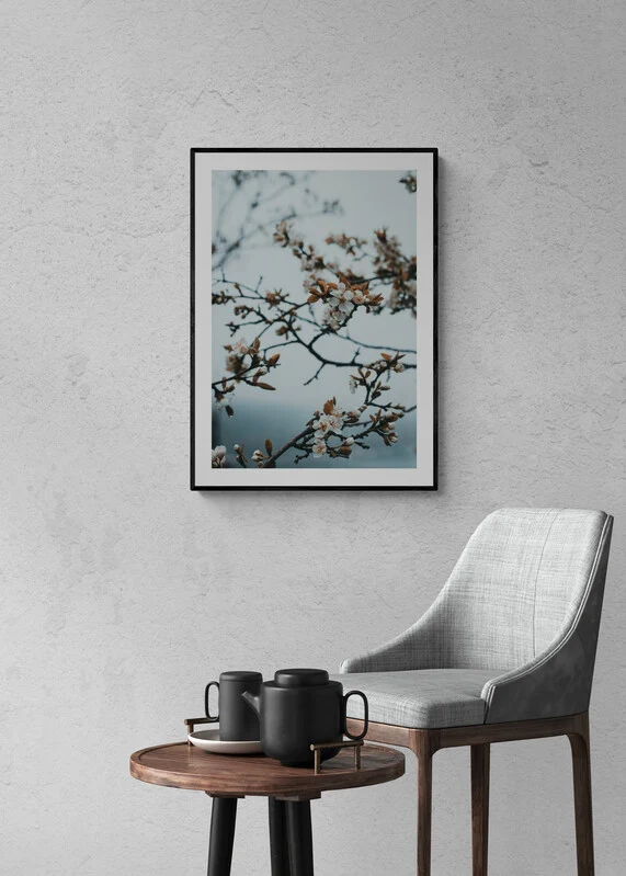 CHERRY BLOSSOM studiomalek