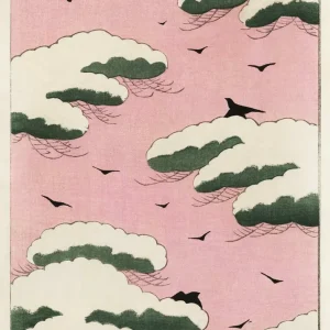 CIELO ROSA studiomalek